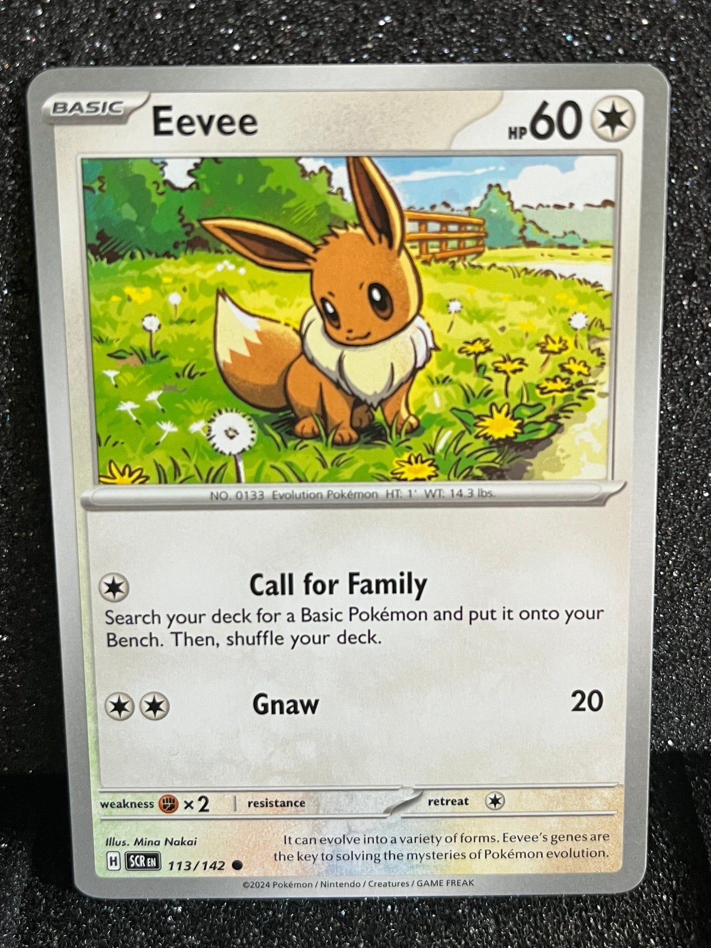 113 Eevee