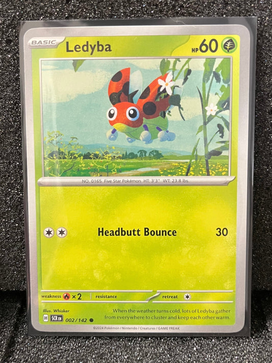 002 Ledyba