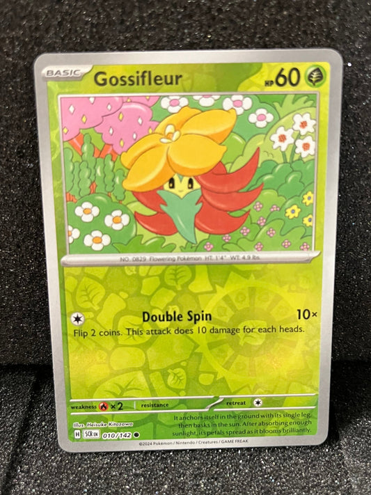 010 Glossifeur Reverse Holo