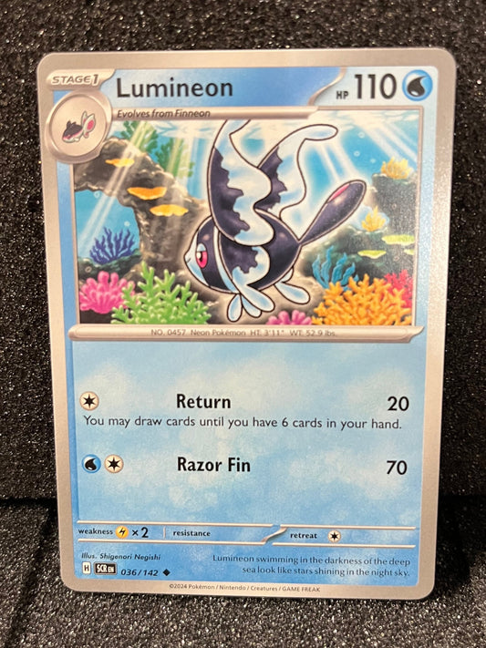 036 Lumineon
