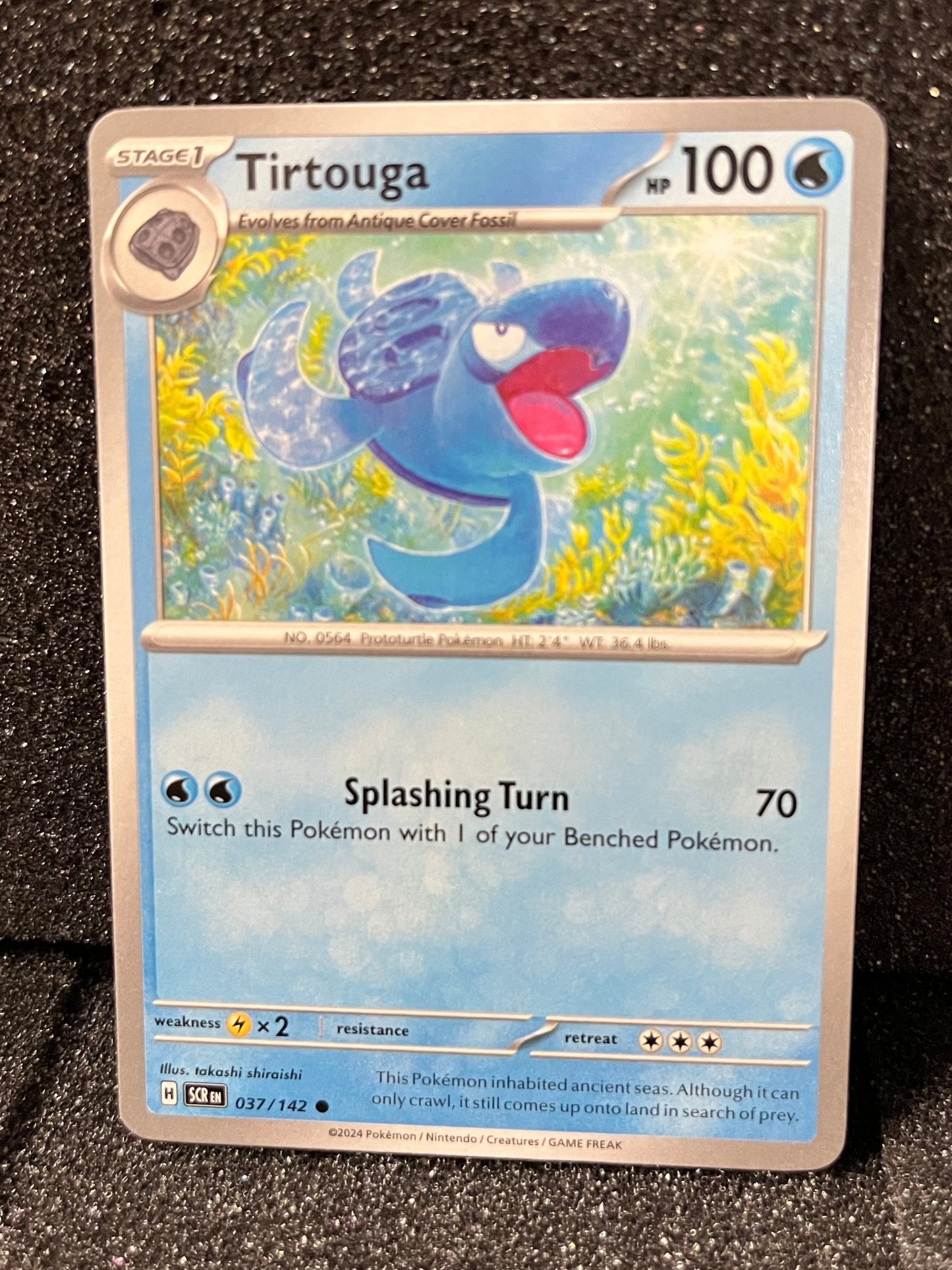 037 Tirtouga