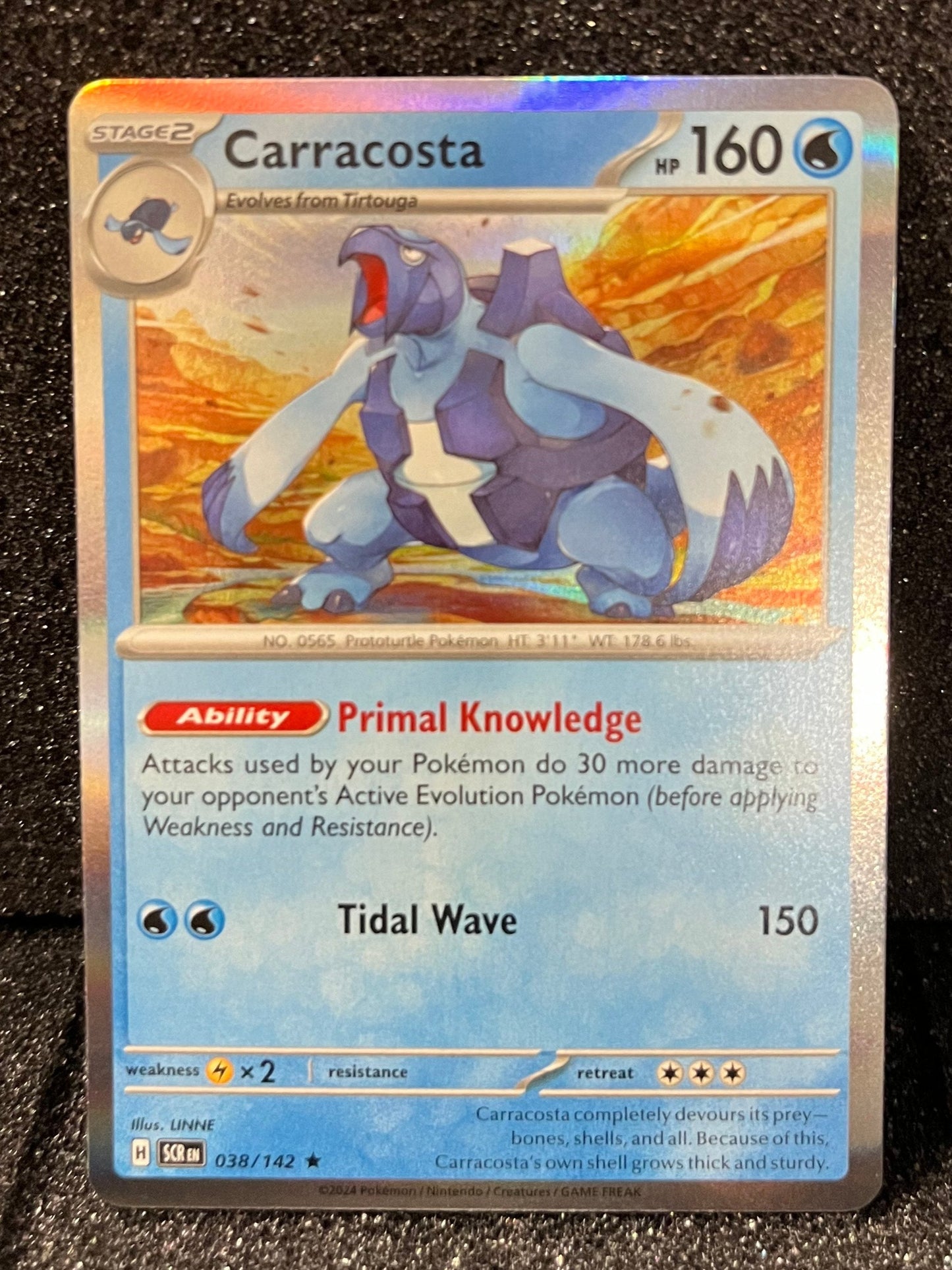 038 Carracosta Holo