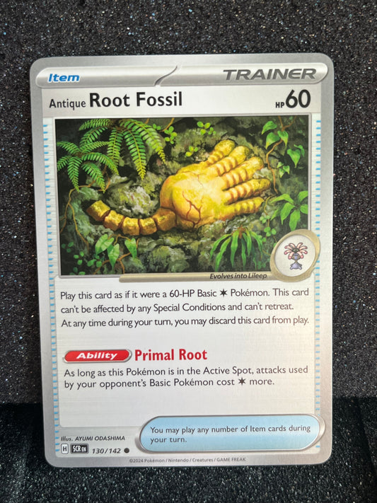 130 Antique Root Fossil